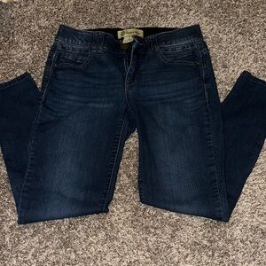 Democracy Dark Indigo Skinny Jeans